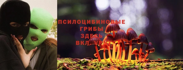 мескалин Баксан